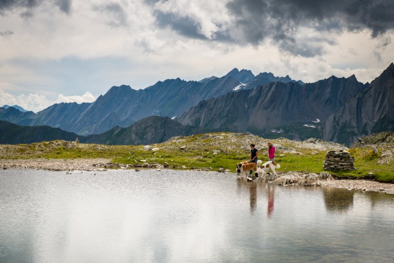 So stelle ich mir einen Bergsee vor! Die Hunde genossen die Abkühlung. Wir waren froh um warme Jacken.