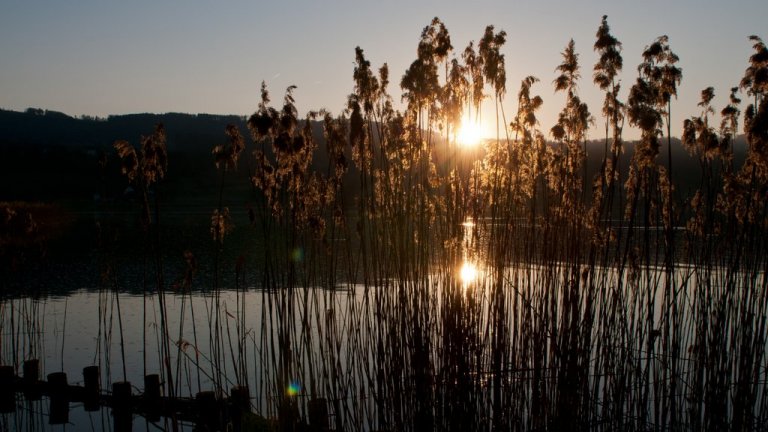 Sonnenuntergang am Greifensee